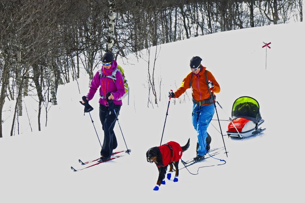 Funäsdalen Eriksgardens Fjaellhotell מראה חיצוני תמונה
